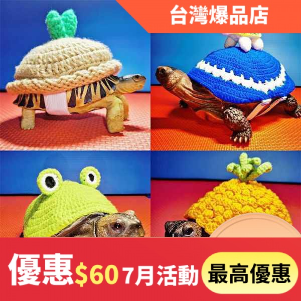 【XIAO-精品點】(現貨) 烏龜衣服寵物用品訂製保暖冬眠可愛陸龜水龜豹龜巴西龜草龜裝飾熱賣