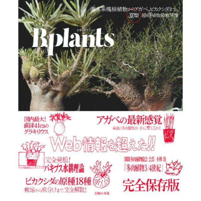 日本最新 奇異植物 - 夏季型稀有植物的最新訊息，從灌木塊根植物到龍舌蘭和鹿角蕨  多肉植物 仙人掌 塊根 書籍  雜誌