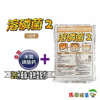 現貨-菌專家 溶磷菌2.0 強效升級版 1公斤 增加抗病力 葉菜類 瓜果類 根莖類 果樹 觀賞植物 草皮 【花園城堡】