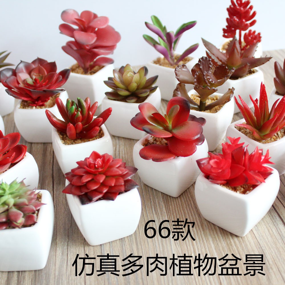 Ttzakka 多肉植物紅色假花陶瓷多肉植物陶瓷盆栽療癒植栽花器仿真拍照道具生活雜貨pot12a3 蝦皮購物