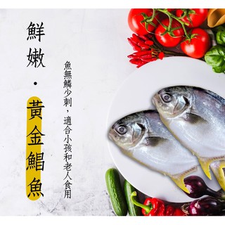 【海鮮7-11】黃金鯧魚(紅衫) 400-500/隻 * 肉質飽滿細緻刺又少 **每隻230元**