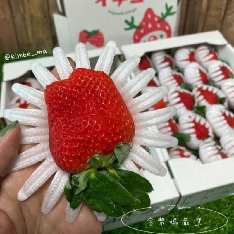 日本 長崎大糖蜜草莓 蝦皮購物