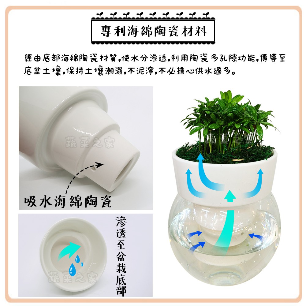 蔬菜之家005 E06 專利自動澆水盆套組 德國盆 上盆專利陶瓷 德國盆儲水槽 陶瓷可隨氣溫高低調節水份 不泥濘 蝦皮購物