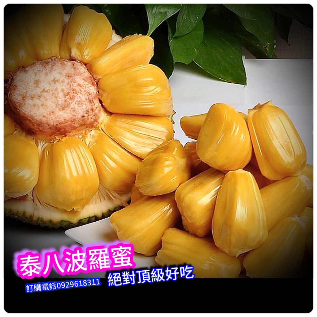 金紅波羅蜜的價格推薦 - 2022年8月| 比價比個夠BigGo