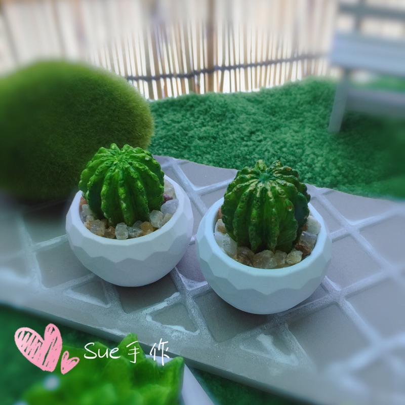 促銷 買一送一 Sue手作多肉植物仙人掌盆栽擴香石 盆栽香薰石 辦公桌 書桌 療癒小物 蝦皮購物