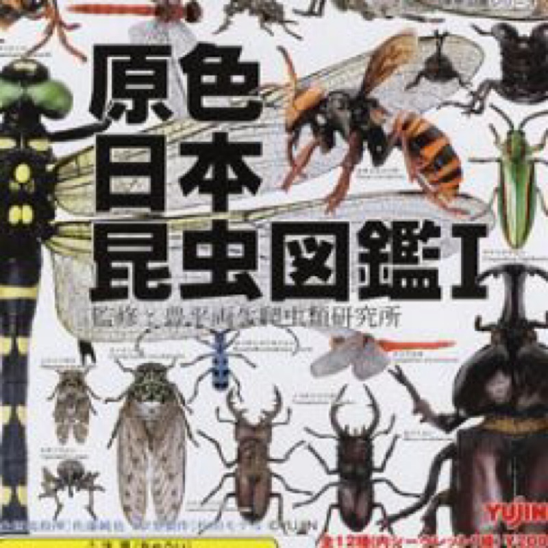 Yujin 原色日本昆蟲圖鑑 I 全12種(11+1隱藏) 原色 日本 昆虫 図鑑 大全套