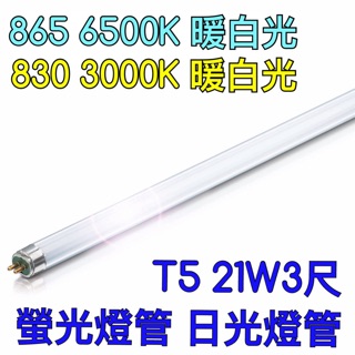 【築光坊】T5 21W 燈管 830 865 CNS認證 白光 3000K 6500K螢光燈管 日光燈管 3尺三尺