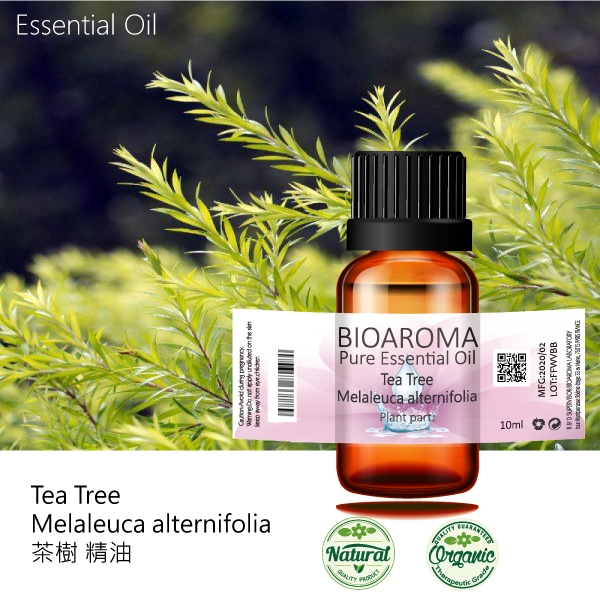 【純露工坊】茶樹精油Tea Tree - Melaleuca alternifolia  100ml
