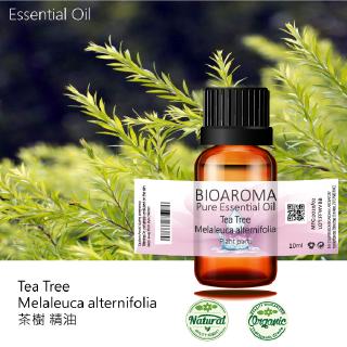 【精油批發】茶樹精油Tea Tree - Melaleuca alternifolia 10ml