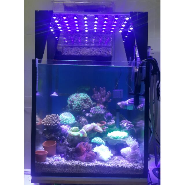 Diy手作led海水 淡水魚缸燈具 蝦皮購物