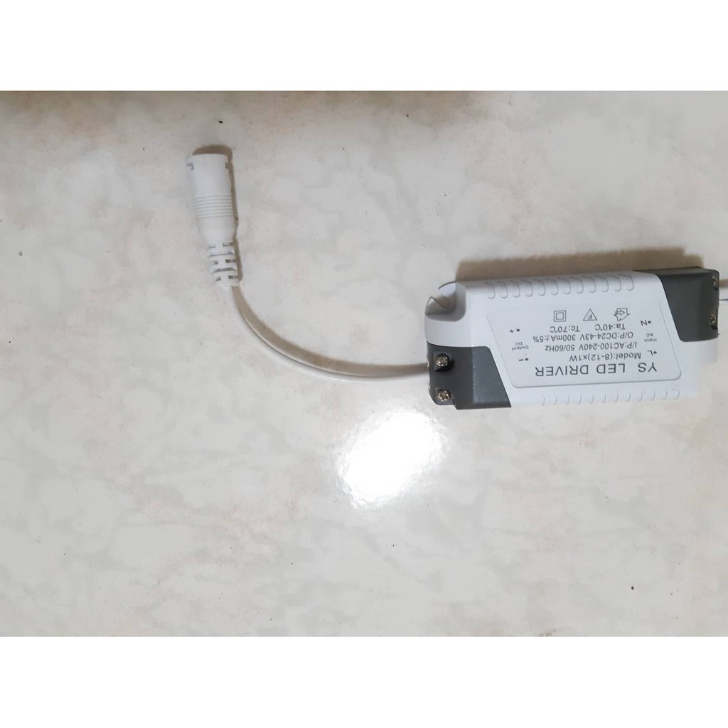 【龍東照明】台灣現貨48 小時到貨 2入 LED變壓器8-12W 電源AC100V-240V DC24V 300mA