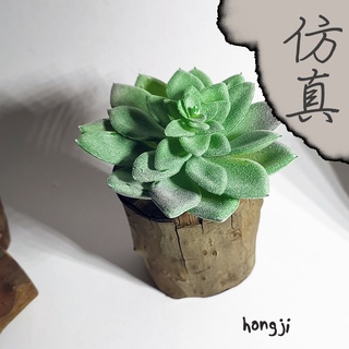 多肉 模擬多肉 微景觀 P41 假多肉植物 辦公室小物 生日禮物拍照道具居家裝飾咖啡屋商店擺飾迷你木頭底座盆栽