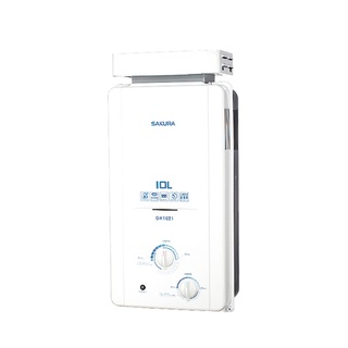 櫻花gh1021 10公升抗風型屋外傳統熱水器(全臺安裝)天然氣(ng1) 大型配送