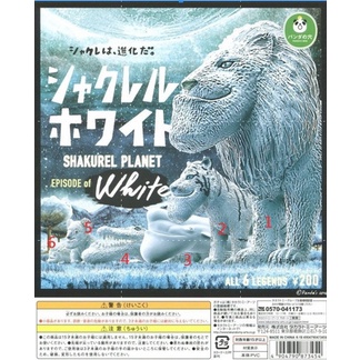 戽斗星球只剩無尾熊一隻 日本進口 全新 扭蛋 轉蛋 公仔 戽斗 白子 動物 特別篇 戽斗星球 動物星球