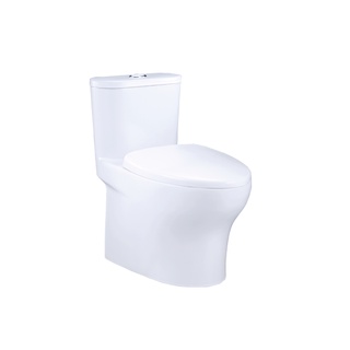 凱撒 二段式省水單體馬桶CF1394/CF1494 金級省水、SIAA抗菌便座,專業安裝