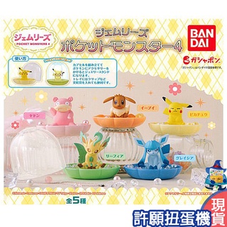 【許願扭蛋機】『現貨』 精靈寶可夢飾品收納盒P4 全5種 扭蛋 轉蛋 BANDAI 寶可夢 收納盒 公仔 皮卡丘