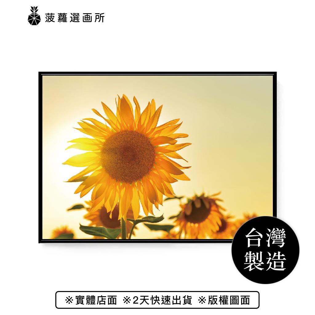 徜徉花海 • 向日葵V - 黃金向日葵攝影掛畫/植物風景