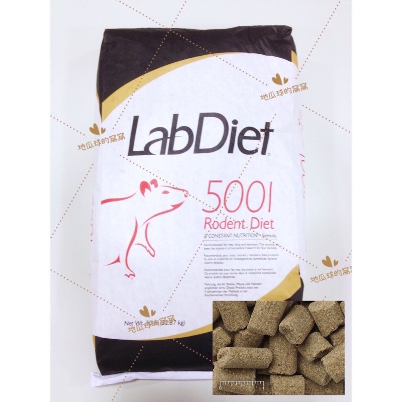 🌸主糧分裝🌸美國LabDiet 5001實驗室鼠飼料 磨牙飼料 鼠飼料