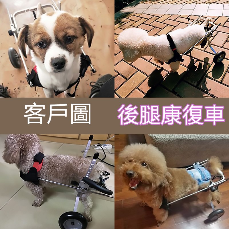 寵物輪椅訓練車0 5 45kg狗狗康复車寵物助力車寵物殘疾車寵物後腿肢傷殘疾癱瘓受傷用支架支撐代步車 蝦皮購物