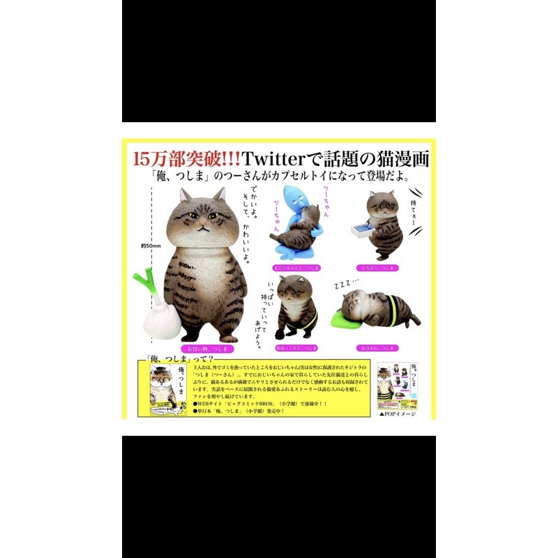 Kitan Twitter 貓漫畫俺是貓津島公仔轉蛋 蝦皮購物
