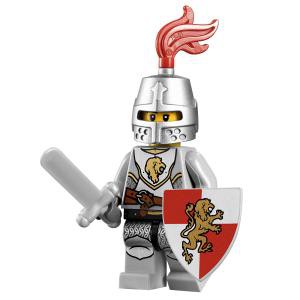 LEGO 樂高 Kingdoms Castle 王國 城堡 系列 紅獅國 水桶 武士 騎士 劍 盾 ( 7949 )