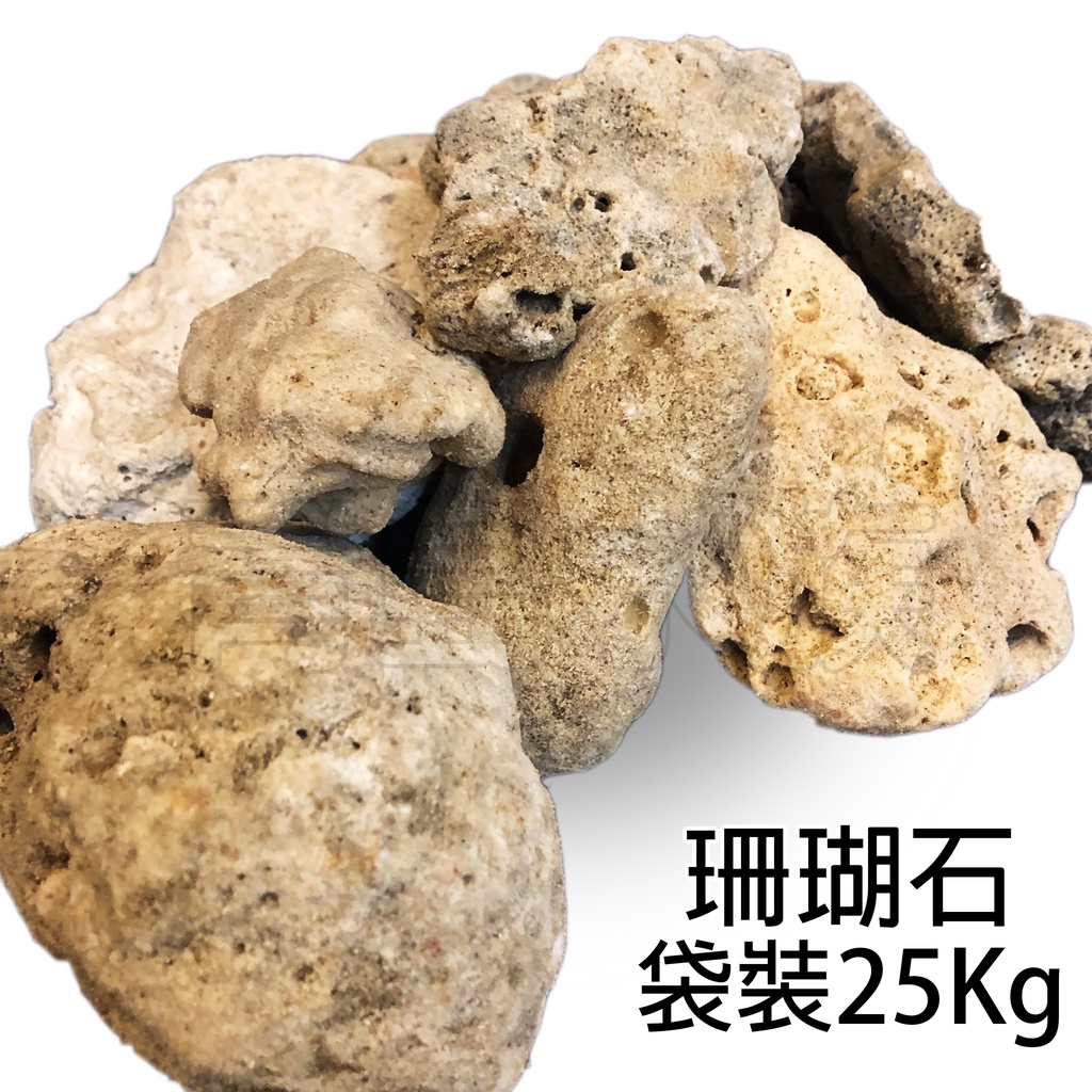 【青島水族】A級珊瑚石 =袋裝25kg= 珊瑚骨 珊瑚砂 珊瑚礁 培菌 過濾 底砂 魚缸岩石 造景 裝飾 提升PH