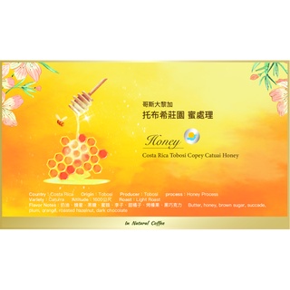 陽光夏 新鮮咖啡豆 (淺中烘焙) / 哥斯大黎加 託布希莊園 黑蜜處理