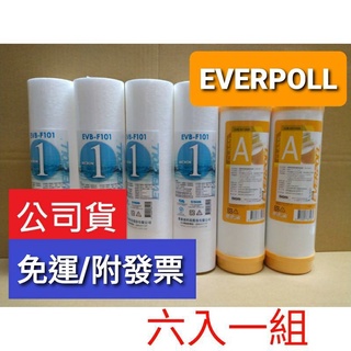 免運 愛科濾淨 everpoll pp ro RO機 通規 樹脂 濾芯 濾心 EVB- evb F101 M100A