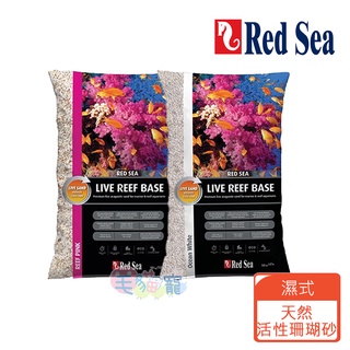 【紅海 red sea】領卷現折 濕式活性珊瑚砂10kg 富含多種活菌 加速硝化系統成熟 珊瑚粉紅 海洋細白 毛貓寵