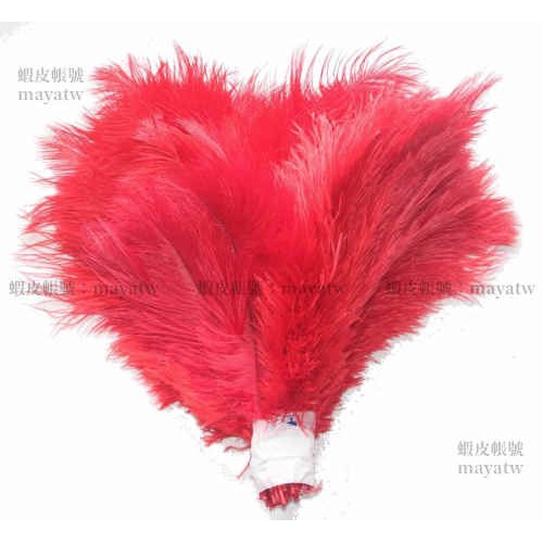 (PROP-A_069)COS頭飾 天然裝飾羽毛 單根羽毛 彩色鴕鳥毛