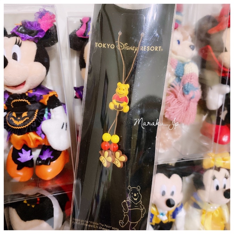 魔樂町JP日貨🎪稀有絕版超值得收藏 Disney 日本東京迪士尼 小熊維尼 維尼 小豬 吊飾 鑰匙圈 掛飾 手機吊飾