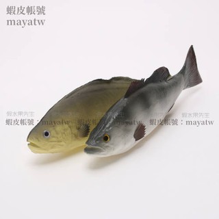 (MOLD-A_001)模擬魚蝦假菜模型假魚裝飾擺設道具海魚模擬海鮮模型模擬黃魚鱸魚
