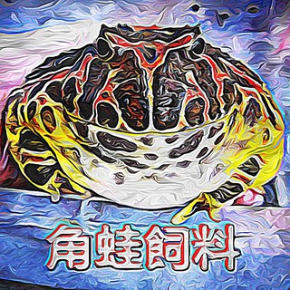 KAI角蛙飼料-適口性高-蛙場專用-細緻Q彈-台灣製-粉狀