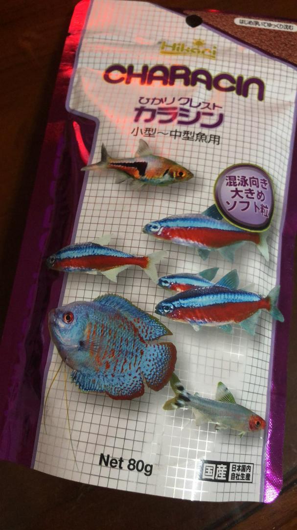 魚寶貝免運 Hikari 高夠力 燈科魚飼料 日本原裝 針對中小型魚皆適 魚飼料小型魚飼料燈科魚飼料孔雀魚 蝦皮購物