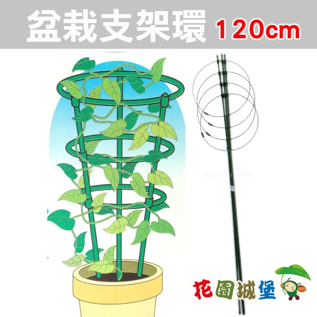 現貨 盆栽支架環 高1cm 四環 花盆支架爬藤架花架 花園城堡 蝦皮購物