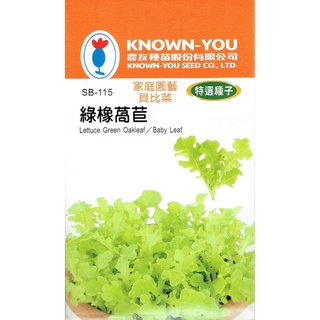 種子王國 綠橡萵苣【貝比菜種子】農友牌 baby菜 特選蔬果種子 原包裝種子 約4公克/包