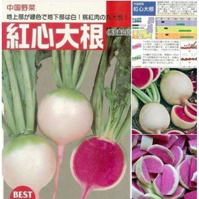日本蘿蔔種子 Ptt Dcard討論與高評價網拍商品 21年10月 飛比價格