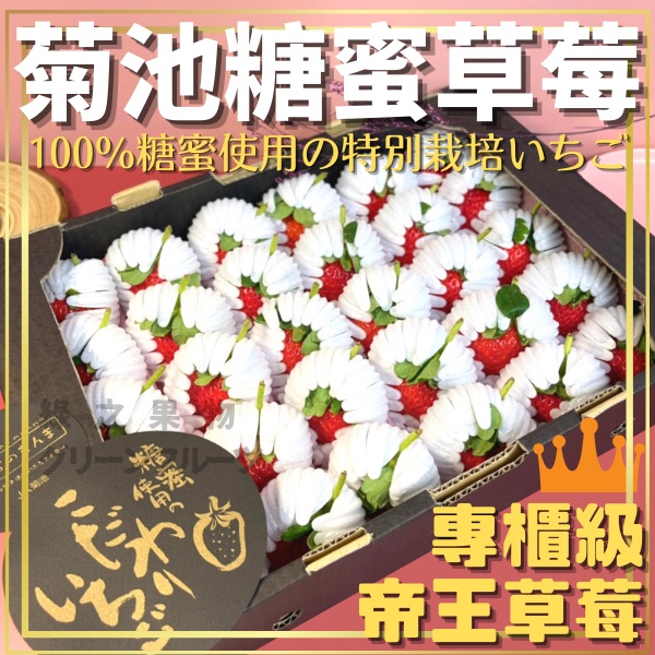預購 綠之果物 糖蜜草莓菊池糖蜜草莓日本草莓長崎草莓熊本草莓蜜糖草莓過年禮盒草莓禮盒日本空運 蝦皮購物