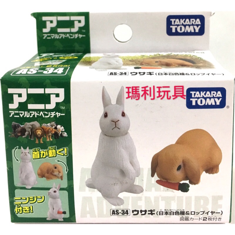 Tomica多美動物園as 34 兔子 蝦皮購物