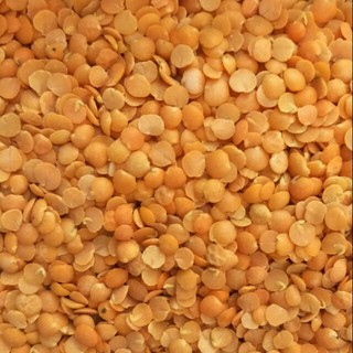 廚房中的好食材:紅扁豆 一斤裝（600公克）五斤裝（3000公克）鸚鵡飼料 鼠食飼料 零嘴