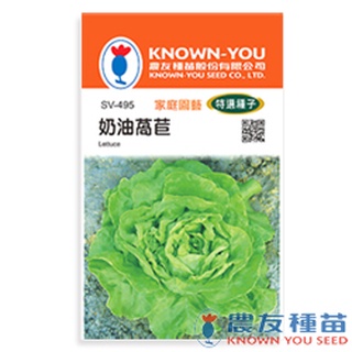 《農友種苗》特選蔬果種子 SV-495奶油萵苣