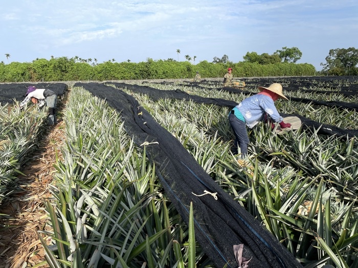 2ba190acbc1ef0527f96954ebc85d421