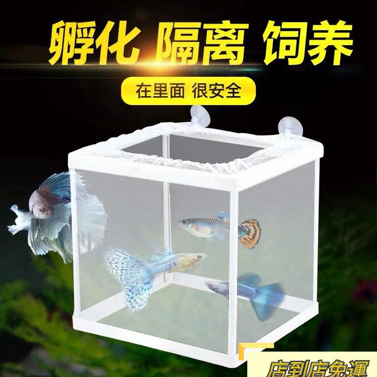 🔥到店免運🔥魚缸隔離網水族箱隔離器隔離盒網魚缸孵化器繁殖箱孵魚槽孵化魚網