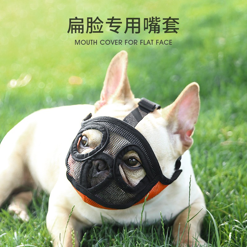 狗狗嘴套英斗松獅犬法斗巴哥斗牛犬防叫防亂吃防咬口罩面罩狗嘴套 蝦皮購物