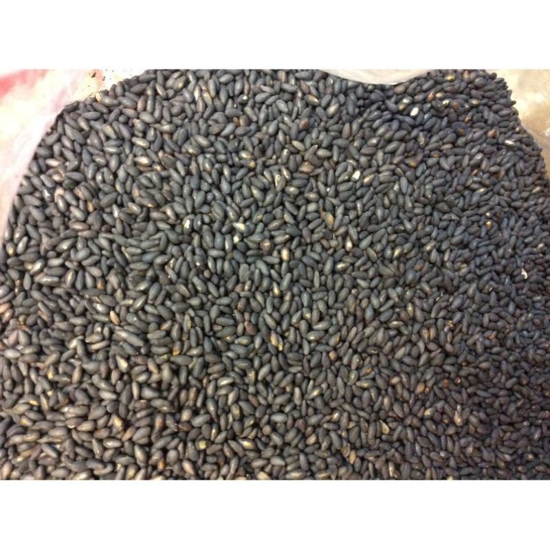 黑芝麻 純正黑芝麻粒 (熟一斤/600克 顆顆飽滿 低溫烘焙 經SGS檢驗 無農藥檢出