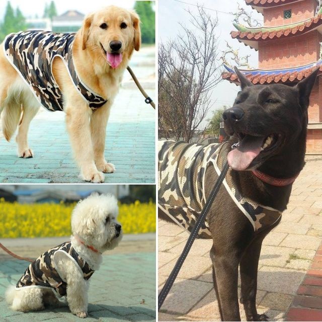 Mr 歐 迷彩大型犬米克斯狗貓寵物衣服背心狗衣服寵物衣服黑狗mix 小型犬xs 迷你犬 蝦皮購物