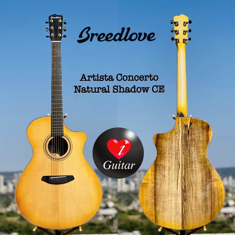 【iGuitar】Breedlove Artista Concerto Natural Shadow CE 全單吉他