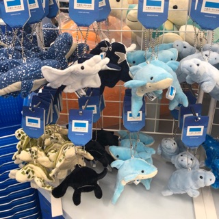 （現貨 預購）小艾代購 沖繩 美麗海 水族館 吊飾 鯨鯊 魚 海豚 魟 花園鰻 海龜