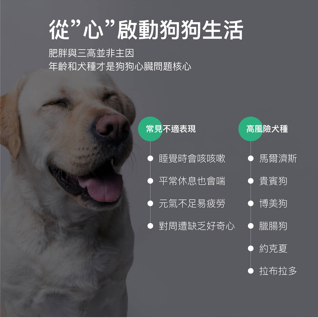 木入森犬寶珍心動30顆 狗狗心臟保健營養補充 蝦皮購物