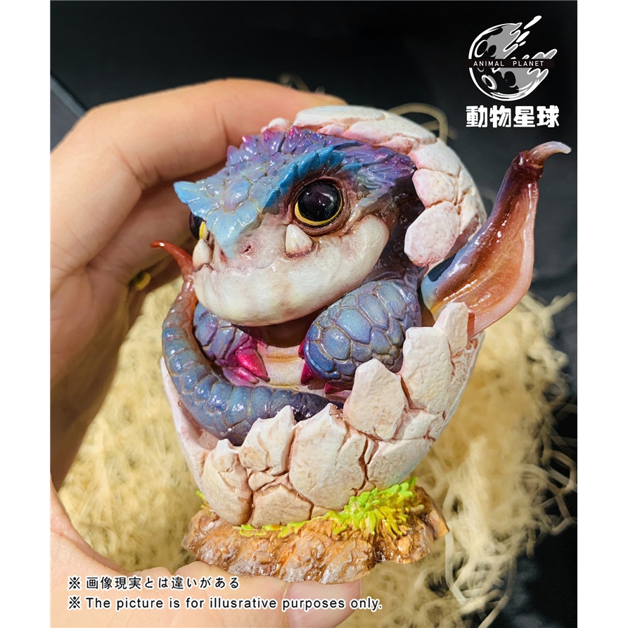 現貨 萌萌全球動漫gk 69新款代購動物星球 洞窟龍寶寶潮玩手辦 蝦皮購物